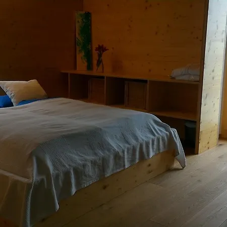 Hotel Des Alpes 3*
