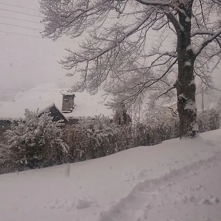 Des Alpes 3* Dalpe